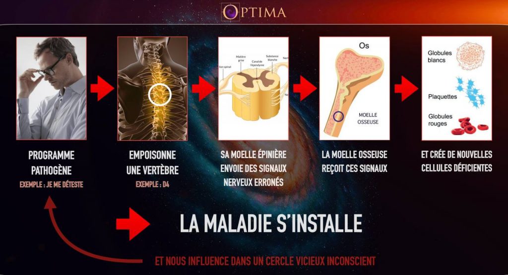 maladie selon soin energetique Optima