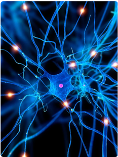 optima comment ça fonctionne 2