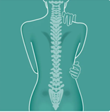 optima comment ça fonctionne