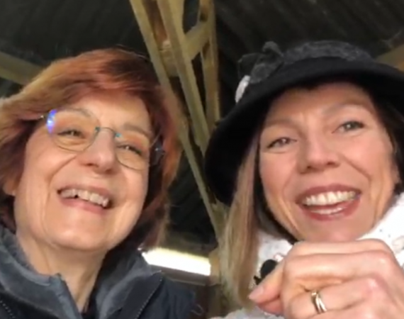 tachyons soin énergétique cheval