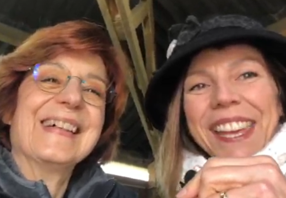 tachyons soin énergétique cheval