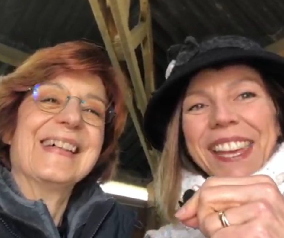 tachyons soin énergétique cheval